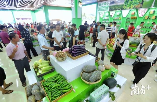 連州土壤硒含量豐富，富硒農(nóng)特產(chǎn)品吸引了眾人關(guān)注的目光。梁素雅 攝