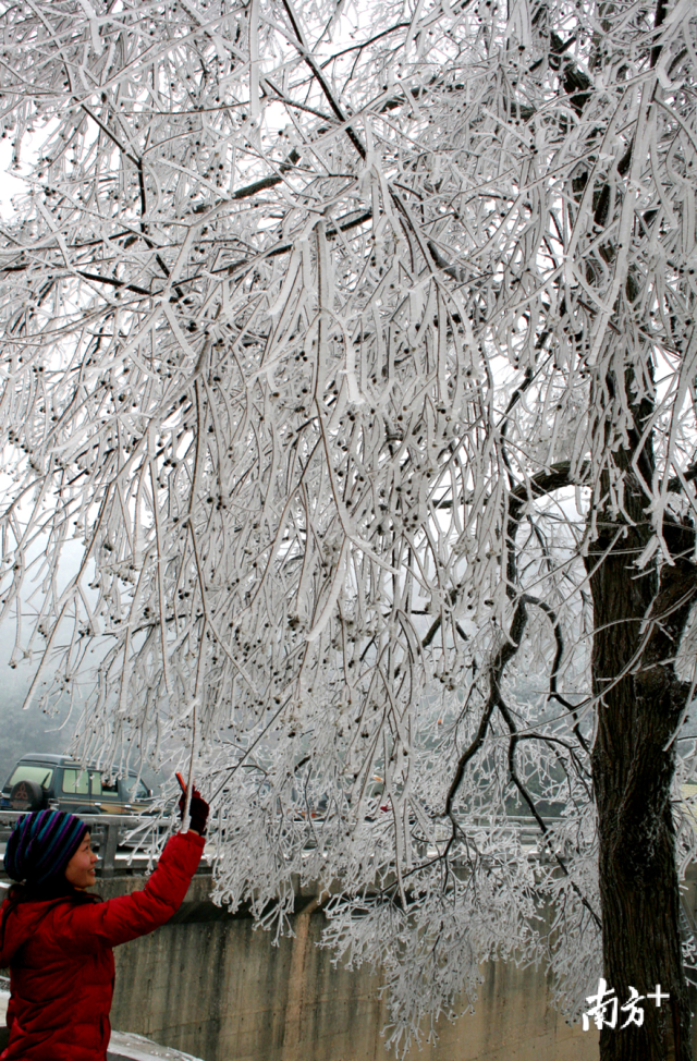 今冬的首場(chǎng)寒潮將于12月29日下午襲擊連州，最冷零下5度，提醒群眾做好御寒準(zhǔn)備。黃津 攝