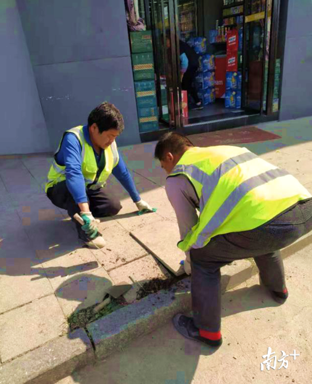 對北山路、南門大道等地段損壞路面進行修復。