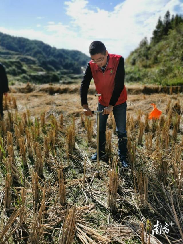 技術人員深入田間地頭開展土壤取樣、分析。通訊員供圖