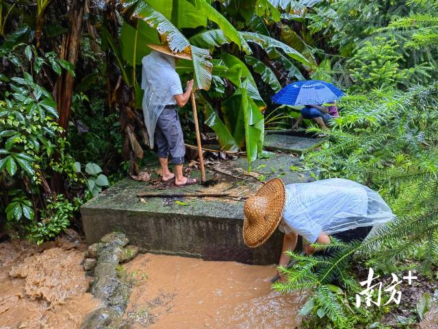 為保障陂嶺近三分之二村民用水，陂嶺村新老干部冒雨前往水源點解決集中供水問題。