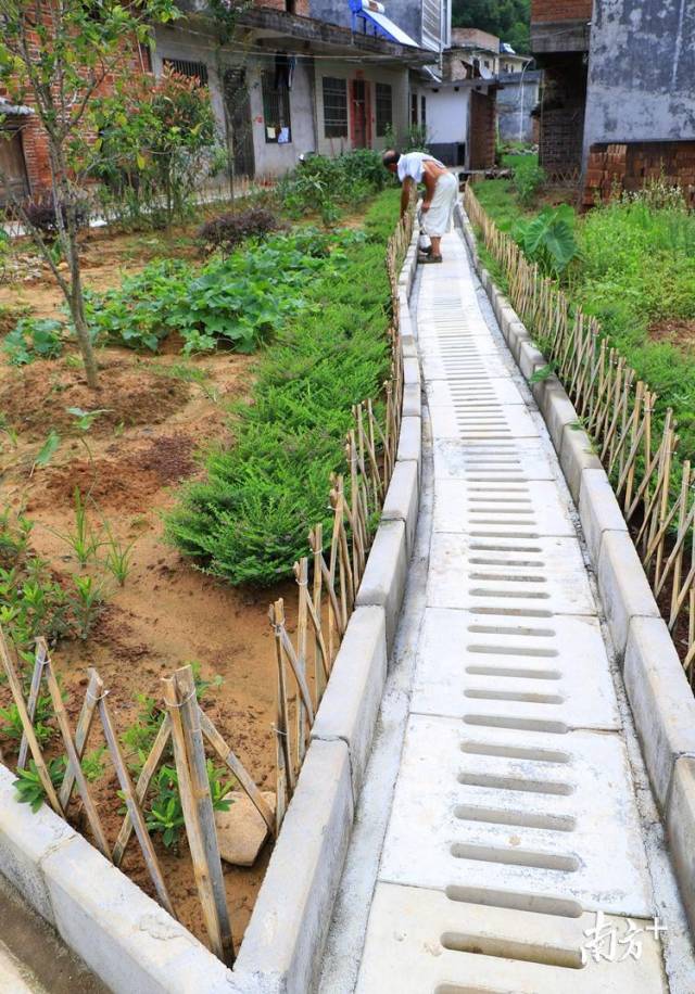 50個自然村建有污水處理系統(tǒng)。記者黃津 攝