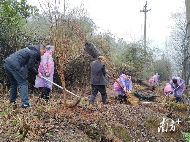 九陂鎮(zhèn)掀起全民義務(wù)植樹熱潮。