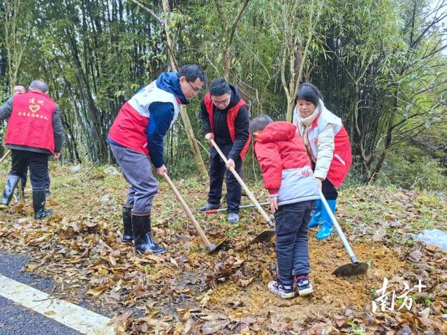 植樹現(xiàn)場。