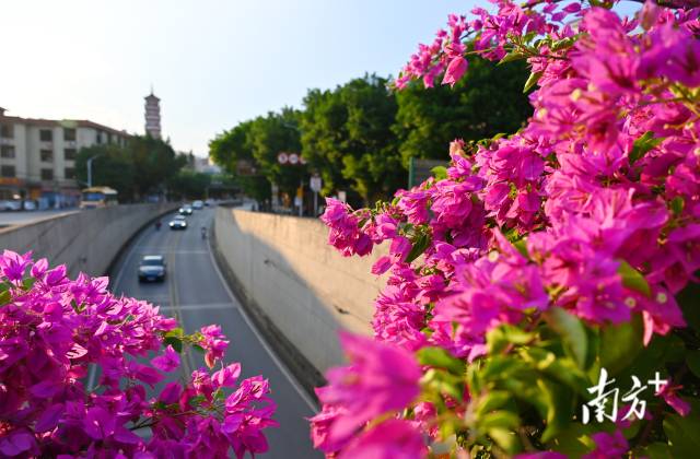 連州織就一張“外聯(lián)內(nèi)暢、城鄉(xiāng)融合”的立體交通藍(lán)圖。黃津 攝