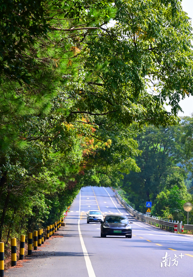 連州“四好農(nóng)村路”省級(jí)示范縣創(chuàng)建考核總分排全省第二。黃津 攝