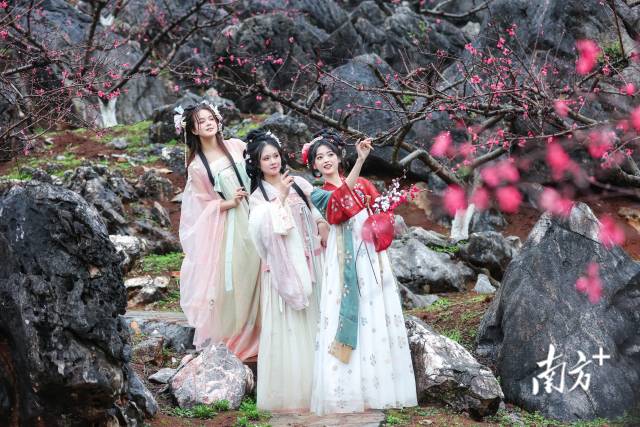 國風(fēng)少女打卡連州桃花季。