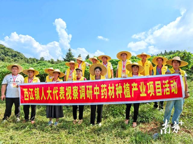 代表們實地調研，為產業(yè)振興培育新動能。 西江鎮(zhèn) 供圖