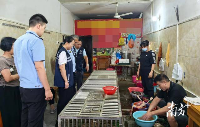 開(kāi)展聯(lián)合檢查，為鳥(niǎo)類(lèi)等野生動(dòng)物撐起堅(jiān)實(shí)的“保護(hù)傘”。