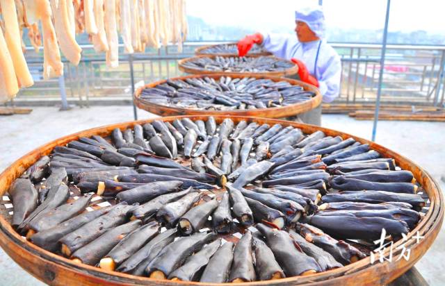 東陂鎮(zhèn)全力把東陂臘味申報(bào)為國家級非物質(zhì)文化遺產(chǎn)。黃津 攝