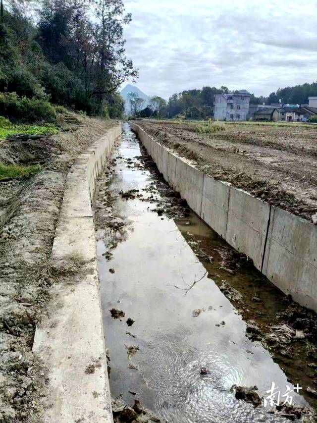 清淤前的渠道。楊鈞著 攝