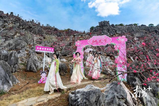 石林桃園依托獨特地貌打造，還布置了桃花主題打卡點。愛地旅游 供圖