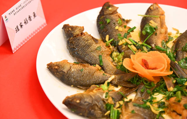 稻香魚(yú)。黃津 攝